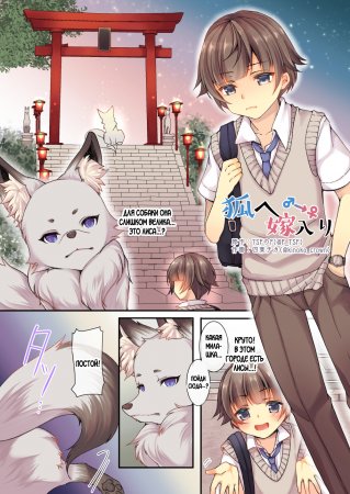 Kitsune e ♂→♀ Yomeiri