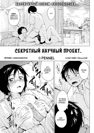 Секретный научный проект (Secret Research Project)