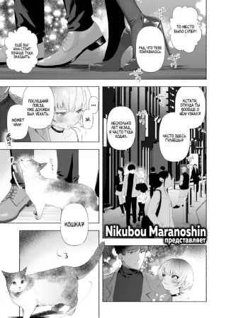 Норанеко (Noraneko)