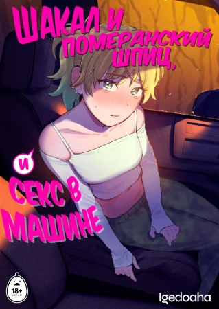 Шакал и померанский шпиц, и секс в машине (Jackals & Pomeranians & Sex In a Car)